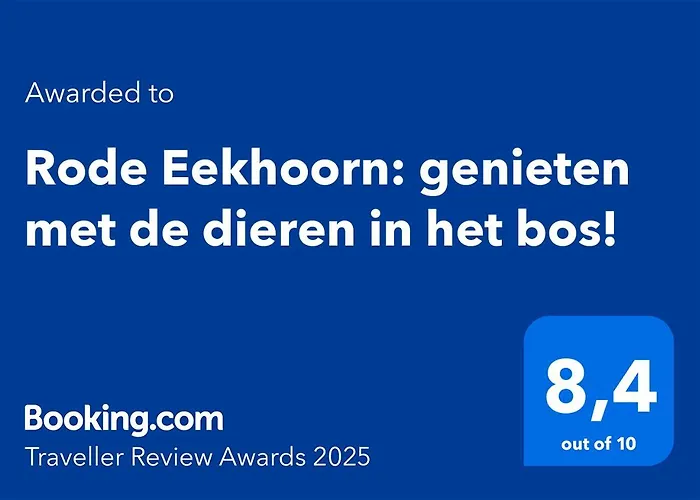 Rode Eekhoorn: Genieten Met De Dieren In Het Bos!