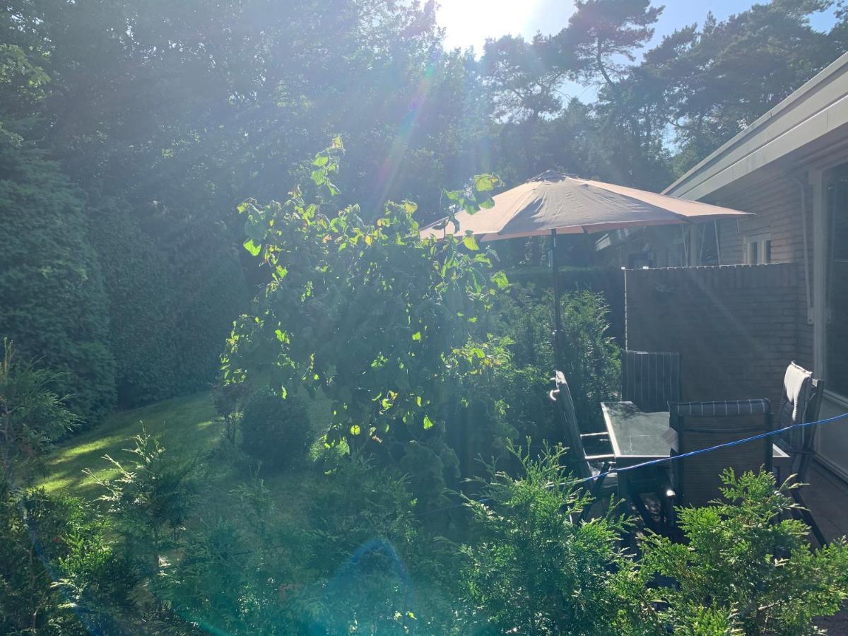 Rode Eekhoorn: Genieten Met De Dieren In Het Bos! Holiday home *