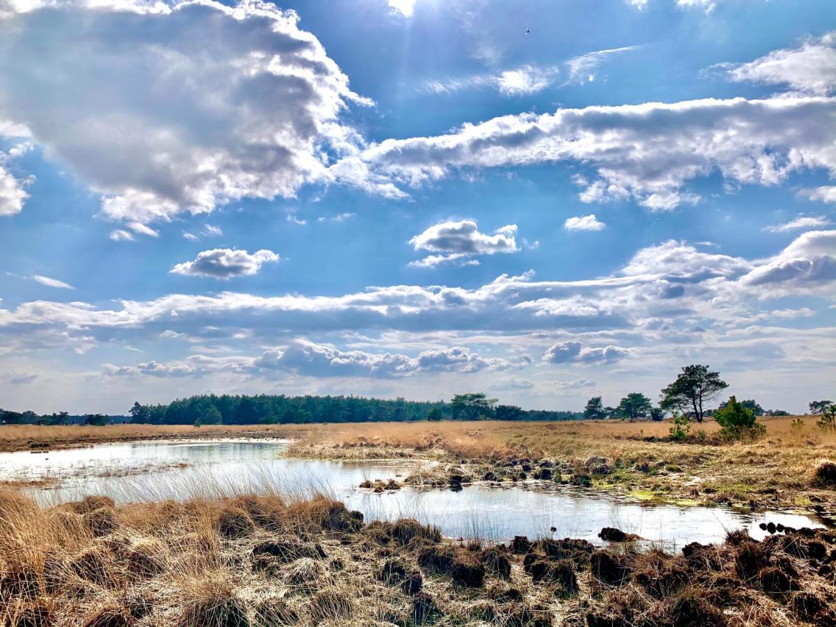Rode Eekhoorn: Genieten Met De Dieren In Het Bos! *