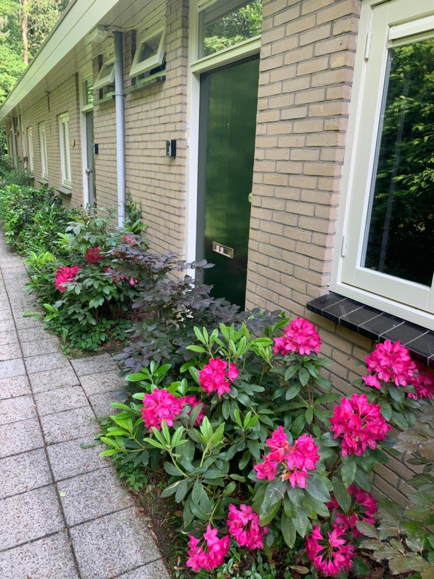 Rode Eekhoorn: Genieten Met De Dieren In Het Bos! Holiday home Otterlo